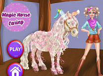 Ai Grija de Calul Magic