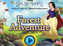 Alba Ca Zapada Aventura in Padure