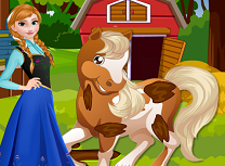 Anna la Ferma de Cai