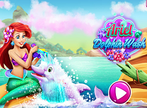 Ariel Spala Delfinul