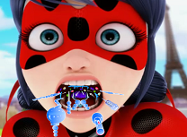 Buburuza Probleme la Gat