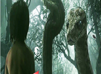 Cartea Junglei 6 Diferente