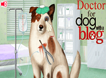 Catelul Blogger la Doctor