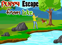 Catelus Evadare de pe Lac