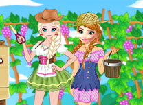 Festivalul Strugurilor