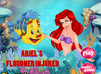 Ariel Flounder Ranit