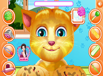 Ginger Tratament Pentru Labute