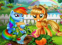 Gradina Micul Meu Ponei