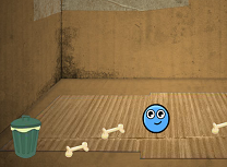 Ingrijeste Animalutul de Companie