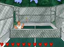 Lupta pe Terenul de Tenis