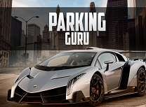Maestrul Parcarilor