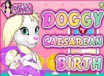 Operatie de Cezariana la Caini