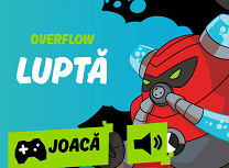 Overflow Lupta