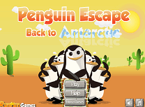 Pinguini Inapoi in Antarctica