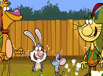 Jocuri cu Pisica Natura