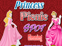 Printesele Curata Locul de Picnic