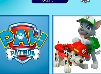 Ryder si Prietenii de Memorie