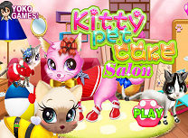 Salonul Pentru Pisicute