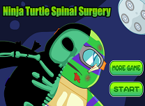 Testoasele Ninja Operatie la Spate