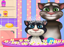 Tom Ii Face Baie Fiului