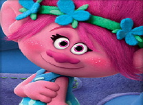 Trolii Carti de Memorie