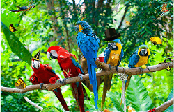 Obiecte Ascunse la Zoo