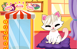 Salonul Pentru Pisici