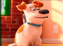 Viata Secreta a Animalelor de Companie de Memorie