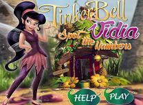 Vidia Numere Ascunse