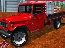 Camioane Toyota Diferente