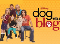 Catelul Blogger Puzzle