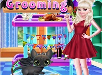 Printesa Elsa Ingrijeste Dragoni