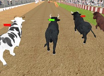 Curse cu Tauri Nervosi