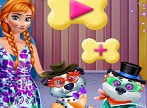 Frozen Anna Ingrijeste Catelul