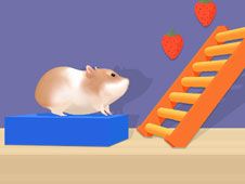 Hamster in Labirint Online