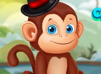 Ingrijiti Maimuta Draguta