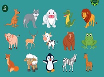 Invata Denumirea Animalelor in Engleza