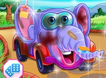 Masini Animale Curatenie la Salon