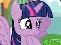 Micul Meu Ponei Puzzle