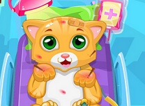 Pisicuta mica la Doctor