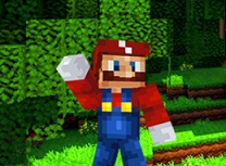 Minecraft Editia Super Mario