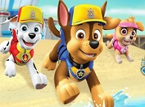 Paw Patrol Patrula pe Apa