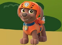 Paw Patrol Zuma