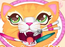 Pisicuta Pretioasa la Dentist