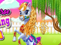 Zana Ponei Coafuri Mane Impletite