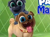 Puppy Dog Pals Potriviri