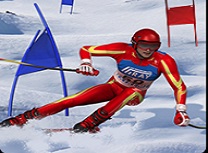 Simulator Slalom de Schi