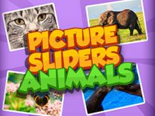 Slider de Poze cu Animale