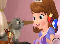 Sofia Litere Ascunse