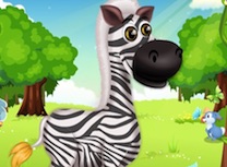 Zebra Draguta la Salon